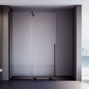 Душевая дверь Veconi Premium Trento PTDW-50B, 1500x2000, черный матовый, стекло прозрачное Ника