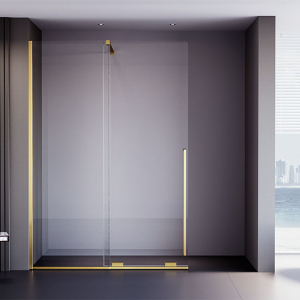 Душевая дверь Veconi Premium Trento PTDW-50G, 1000x2000, брашированное золото, стекло прозрачное Ника